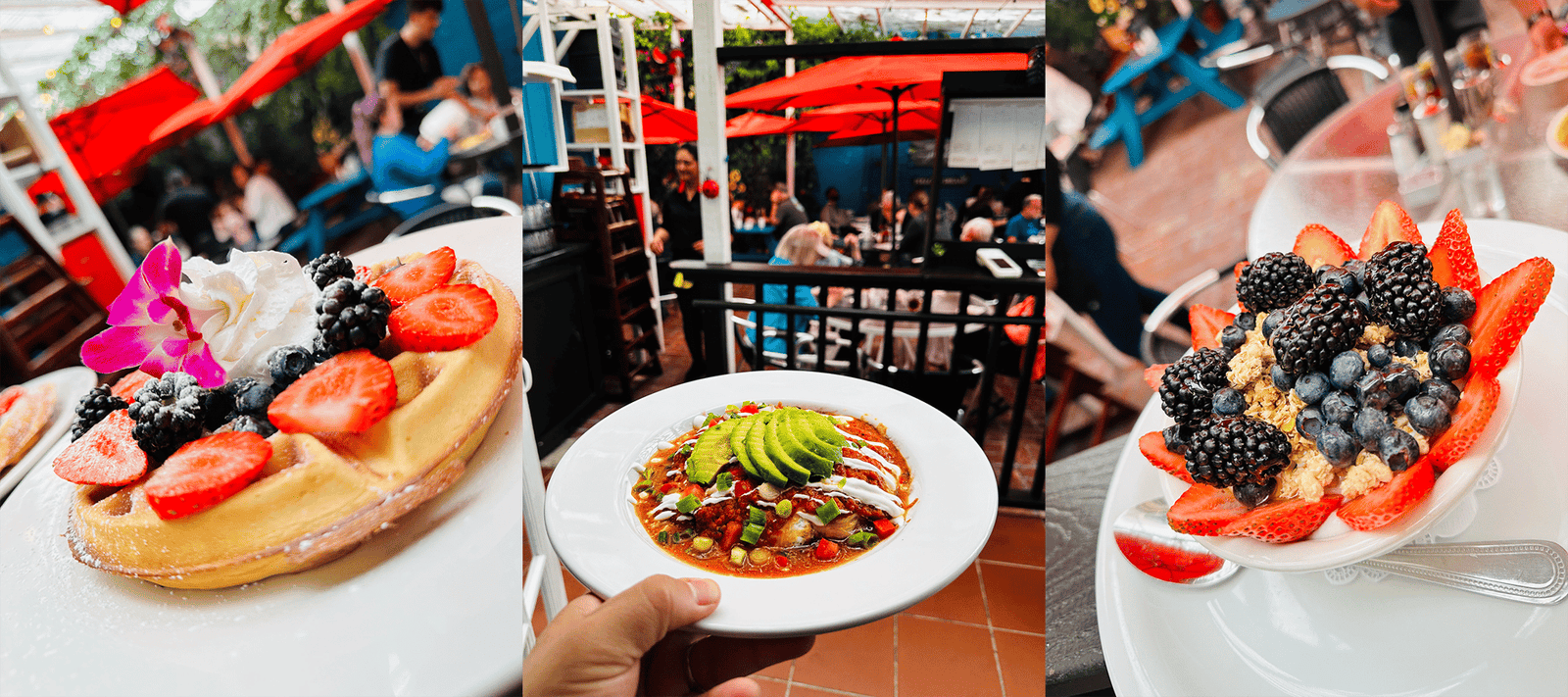 Garden Cafe dishes